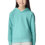 Comfort Colors ®  Youth Lightweight Hooded Sweatshirt 1467Y